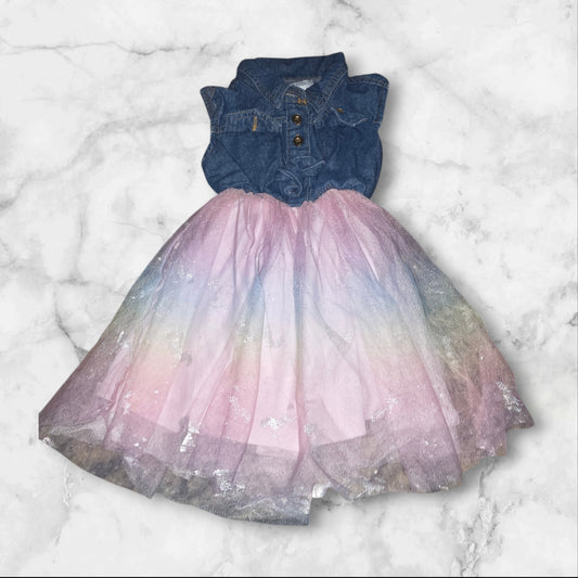 Emma & Elsa Girls Dress