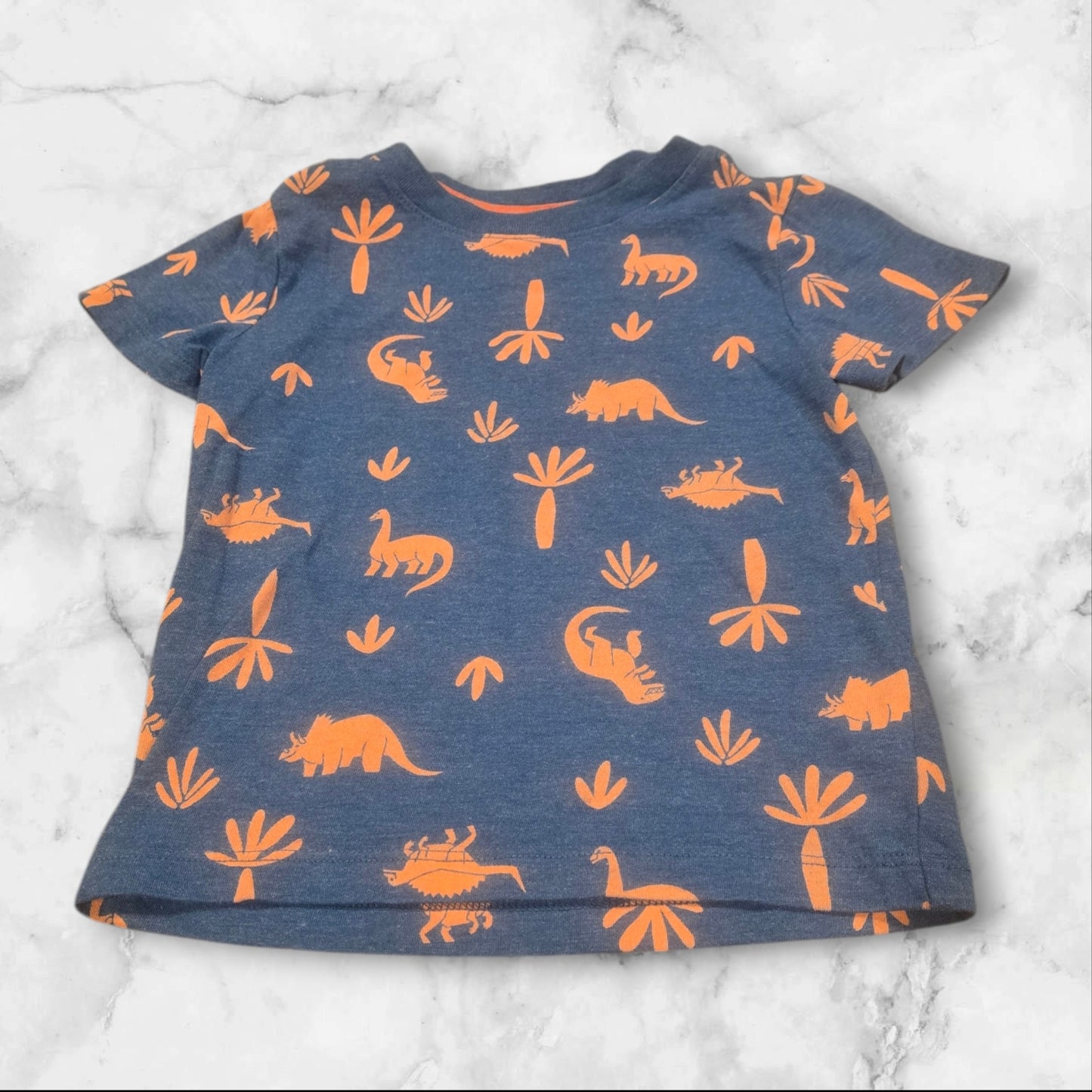 Cat & Jack Boys Dino Tee