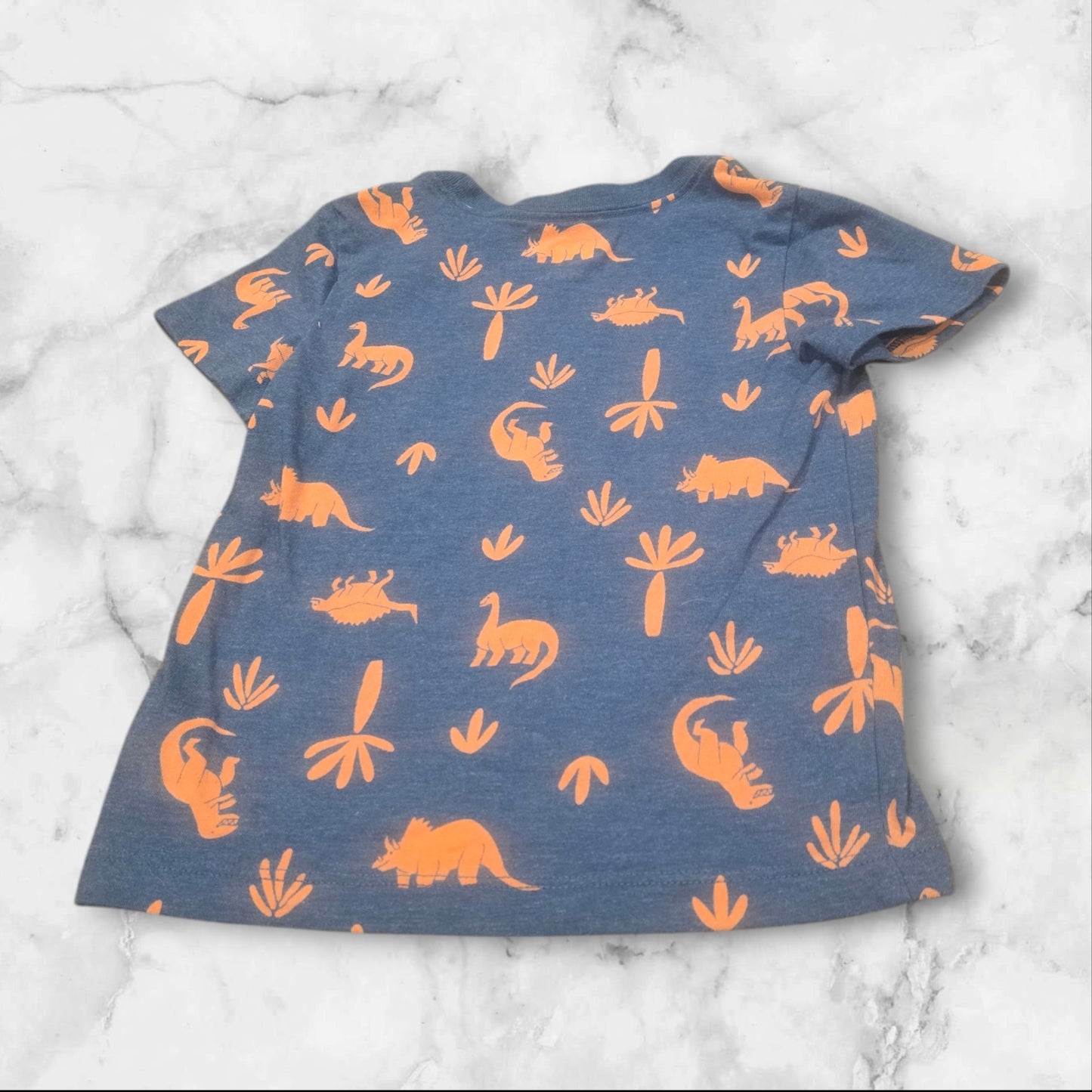 Cat & Jack Boys Dino Tee